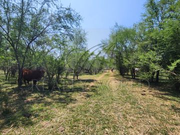 Ranchos Venta Montemorelos Zona Carr. Nacional 01-RV-9199