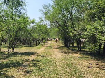 Ranchos en Venta en El Pastor