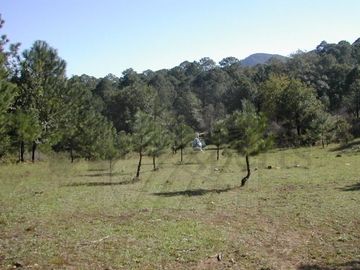 Terrenos en Venta en Potrero Redondo