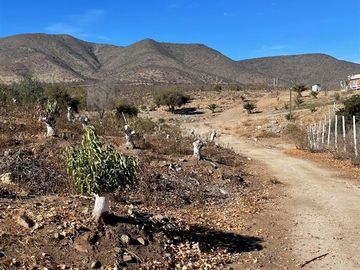 Parcela en Venta en Peralillo Cruce Limahuida