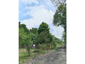 TERRENO CON CASA / SAN MARTIN  / 4,565M2