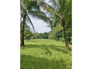 TERRENO CON CASA / SAN MARTIN  / 4,565M2