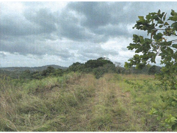 TERRENO/ ARRAIJAN / BIQUE / 3 HECTAREAS
