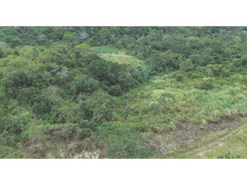 TERRENO/ ARRAIJAN / BIQUE / 3 HECTAREAS