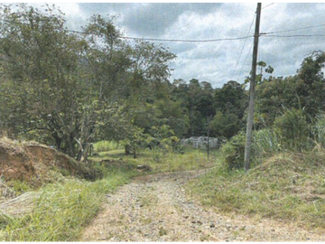 TERRENO/ ARRAIJAN / BIQUE / 3 HECTAREAS