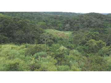 TERRENO/ ARRAIJAN / BIQUE / 3 HECTAREAS