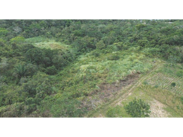 TERRENO/ ARRAIJAN / BIQUE / 3 HECTAREAS