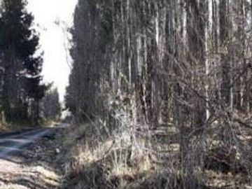 Agrícola en Venta en Venta predio forestal Santa Hilda Curacautín sin Comisión de Corretaje