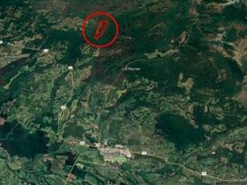 Agrícola en Venta en Venta predio forestal Santa Hilda Curacautín sin Comisión de Corretaje
