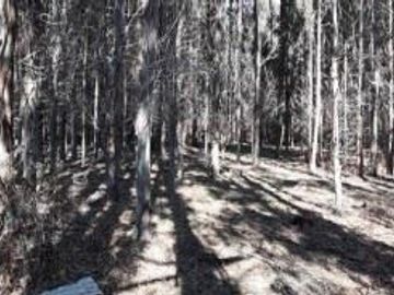 Agrícola en Venta en Venta predio forestal Santa Hilda Curacautín sin Comisión de Corretaje