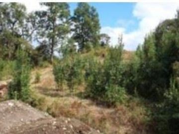 Parcela en Venta en Parcela 13.000 mt Panguipulli sin comisión corretaje