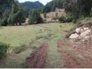 Parcela en Venta en Parcela 13.000 mt Panguipulli sin comisión corretaje