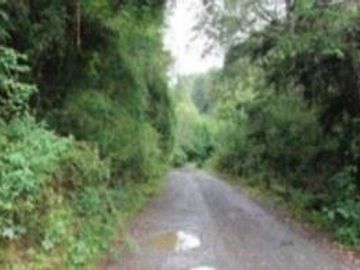 Parcela en Venta en Parcela 13.000 mt Panguipulli sin comisión corretaje
