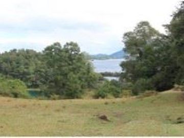 Parcela en Venta en Parcela 13.000 mt Panguipulli sin comisión corretaje