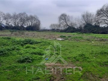 Industrial en Venta en SECTOR EL LLANO DE RAUCO