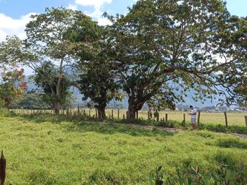 Terreno en  Venta - Oxapampa - 4,400 m2 - En Esquina - Ideal Proyecto Inmobiliario
