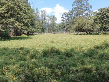 Terreno en  Venta - Oxapampa - 4,400 m2 - En Esquina - Ideal Proyecto Inmobiliario