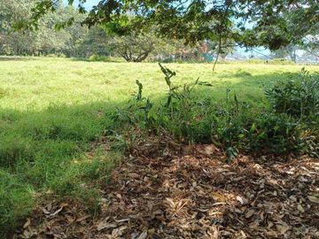 Terreno en  Venta - Oxapampa - 4,400 m2 - En Esquina - Ideal Proyecto Inmobiliario