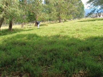Terreno en  Venta - Oxapampa - 4,400 m2 - En Esquina - Ideal Proyecto Inmobiliario