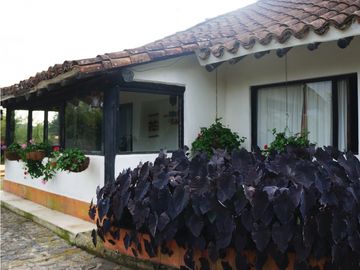 FINCA VENTA VIA SAN ANTONIO LA CEJA DE 14.050 M2