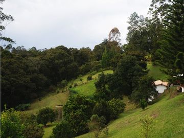 FINCA VENTA VIA SAN ANTONIO LA CEJA DE 14.050 M2