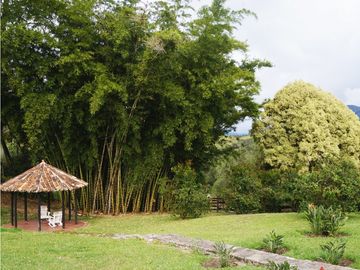 FINCA VENTA VIA SAN ANTONIO LA CEJA DE 14.050 M2