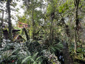 Venta de casa de lujo con 840 m² en Haras santa Lucia, llanogrande