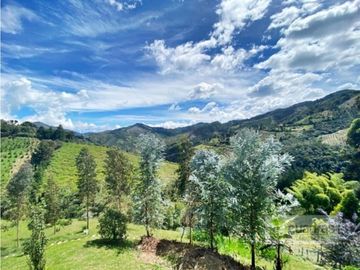 Casa Finca con 12.000 m² de lote independiente en El Retiro