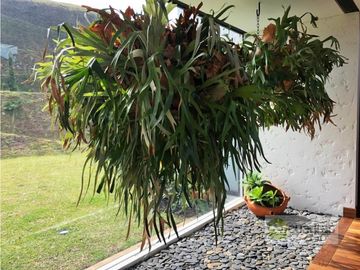 Casa finca de 450 m² en Pontezuela en unidad cerrada