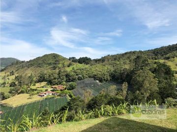 Casa finca de 450 m² en Pontezuela en unidad cerrada