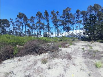 EN VENTA TERRENO DE 4102 METROS  MALCHINGUI  MV
