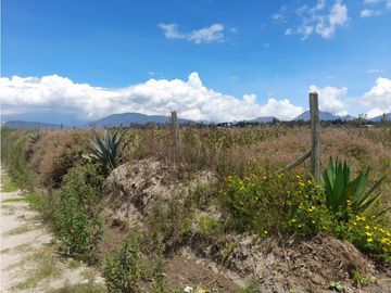 EN VENTA TERRENO DE 4102 METROS  MALCHINGUI  MV