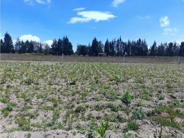 EN VENTA TERRENO DE 4102 METROS  MALCHINGUI  MV