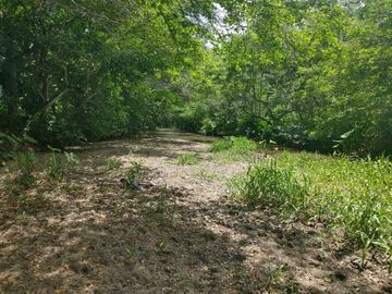 Rancho en Venta en Tapanatepec Oaxaca