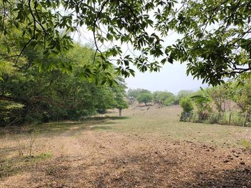 Rancho en Venta en Tapanatepec Oaxaca