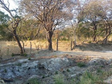 Rancho en Venta en Tapanatepec Oaxaca