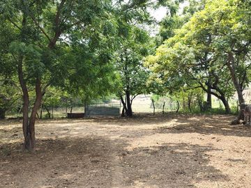 Rancho en Venta en Tapanatepec Oaxaca