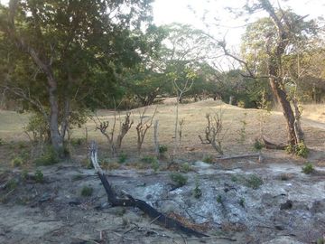 Rancho en Venta en Tapanatepec Oaxaca