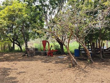 Rancho en Venta en Tapanatepec Oaxaca
