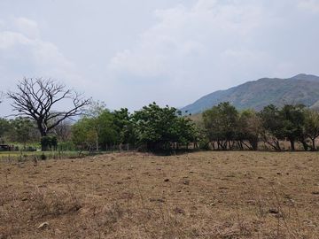 Rancho en Venta en Tapanatepec Oaxaca