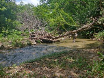 Rancho en Venta en Tapanatepec Oaxaca