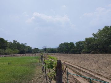 Rancho en Venta en Tapanatepec Oaxaca