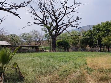 Rancho en Venta en Tapanatepec Oaxaca