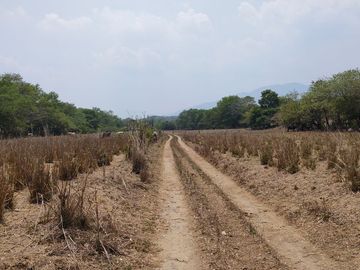 Rancho en Venta en Tapanatepec Oaxaca