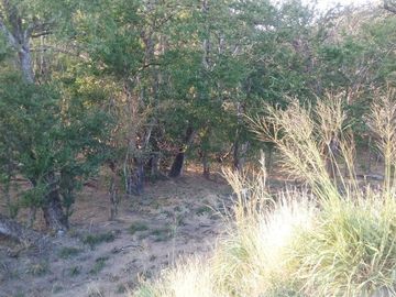 Rancho en Venta en Tapanatepec Oaxaca
