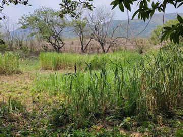 Rancho en Venta en Tapanatepec Oaxaca