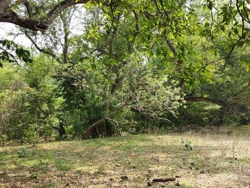 Rancho en Venta en Tapanatepec Oaxaca
