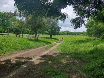 Rancho en Venta en Tapanatepec Oaxaca