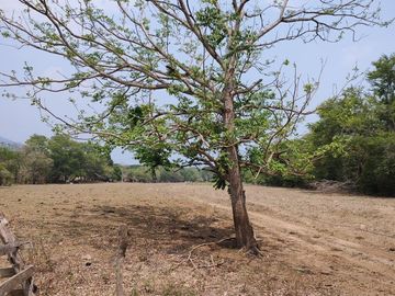 Rancho en Venta en Tapanatepec Oaxaca
