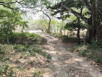 Rancho en Venta en Tapanatepec Oaxaca